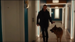 Hudson And Rex - Season 08 Episode 04